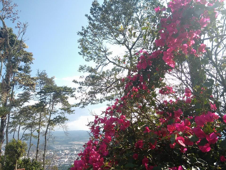 芬卡梦幻别墅 佩雷拉 外观 照片